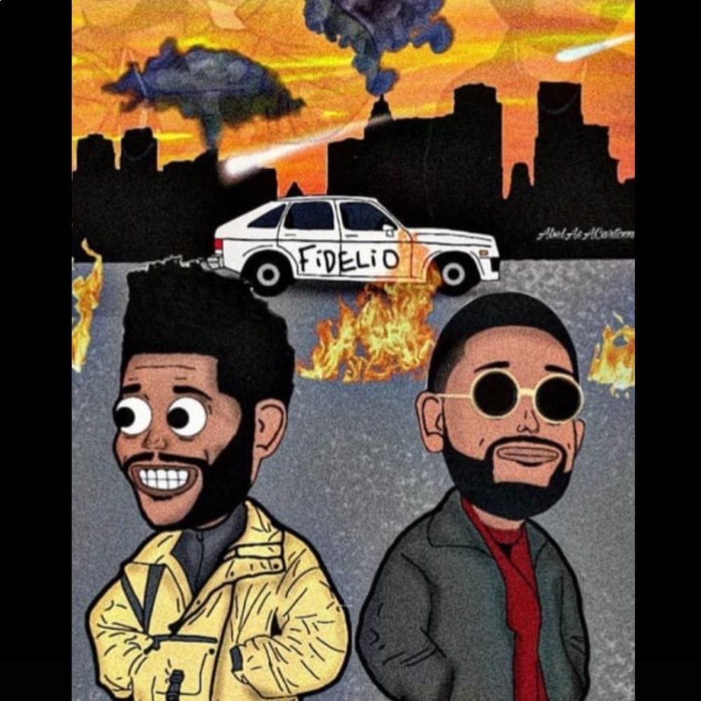 Meet your Posher, Guadalupe